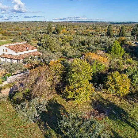 Lara's Oasis By Guide *